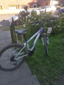 avigo mammoth fat bike